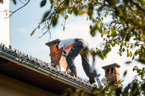 Residential Roof Replacement in Holley, FL