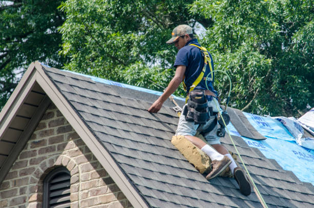 Best Storm Damage Roof Repair  in Holley, FL
